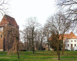 Szamotuły Castle