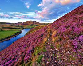 Pentland Hills