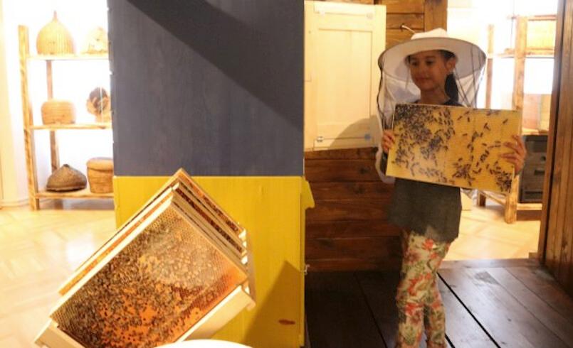 Beekeeping Museum Radovljica