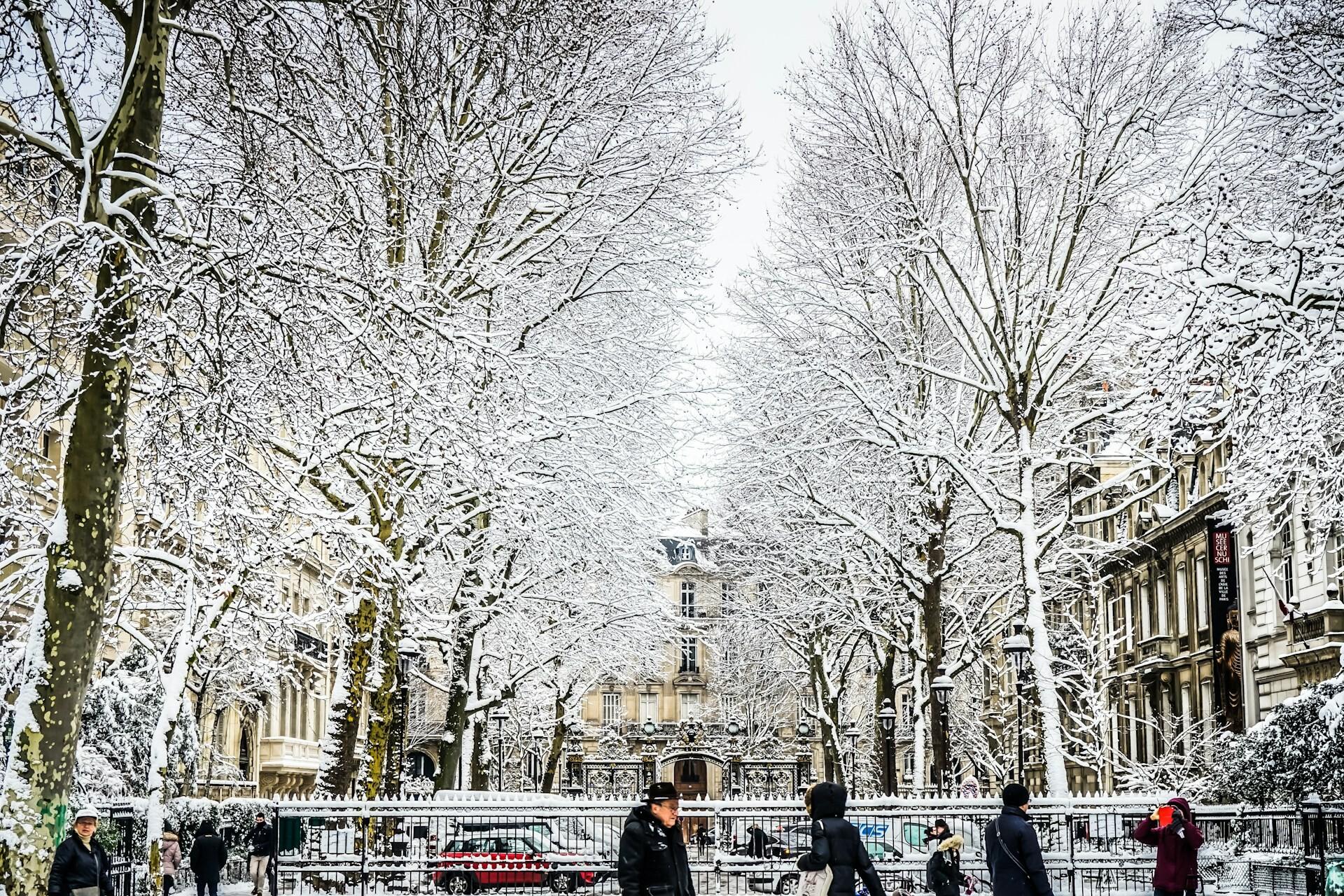 Discover the Magic of Paris in Winter