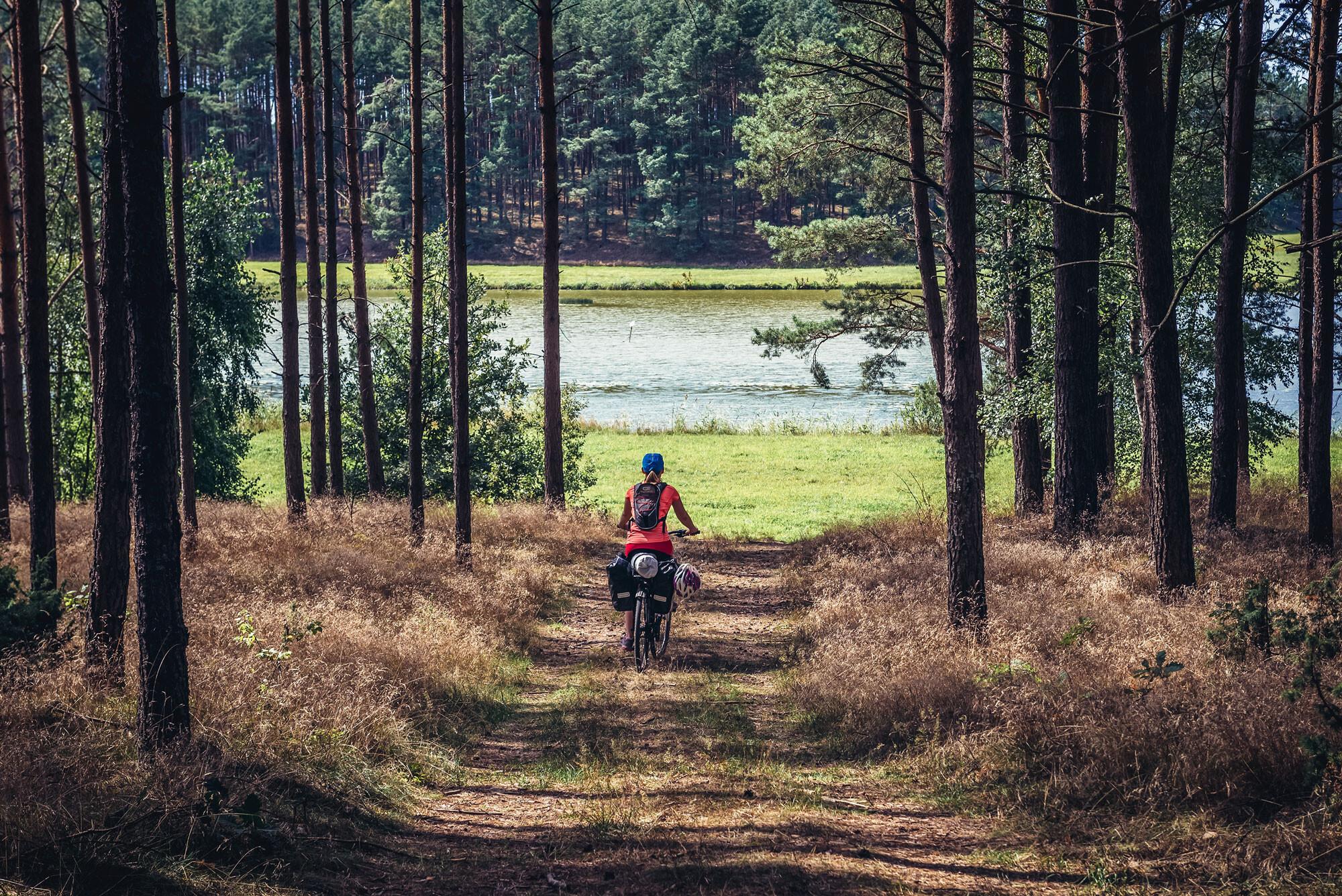 Tri-city Day Trips | Best Excursions from Gdańsk, Sopot & Gdynia