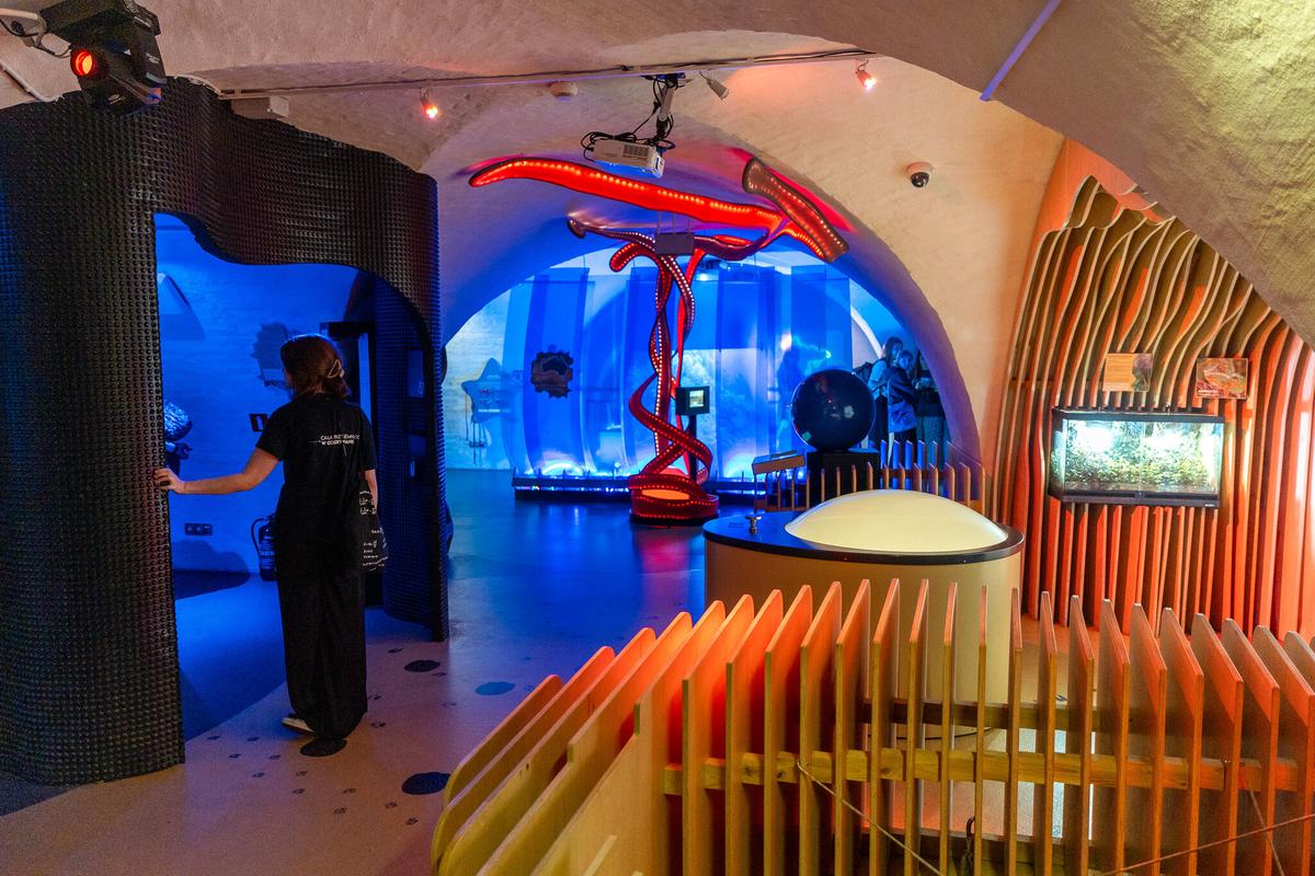 Gallery image