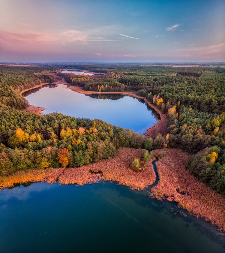 Puszcza Zielonka Landscape Park
