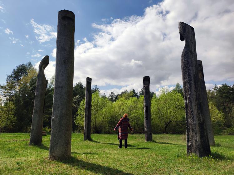 Forest Arboretum