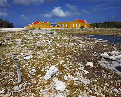Washington Slagbaai National Park