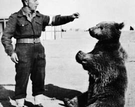 Wojtek, the Soldier Bear