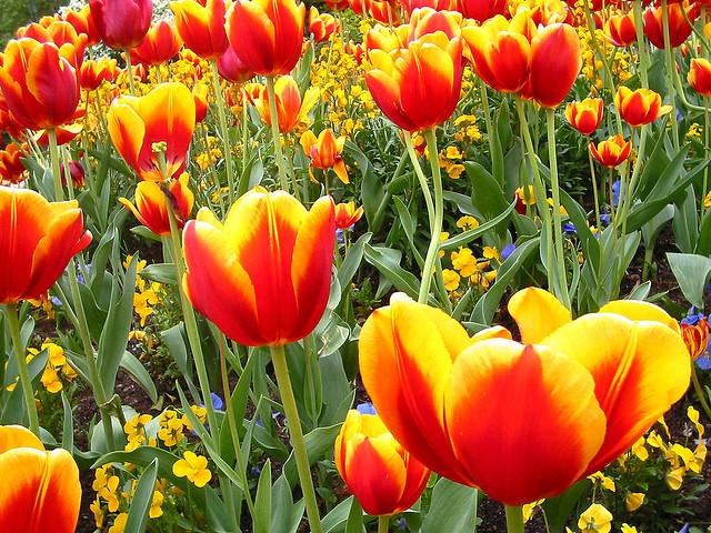 Botanical Gardens