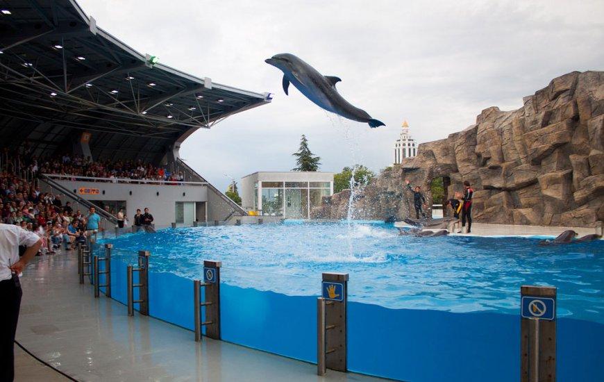 Dolphinarium
