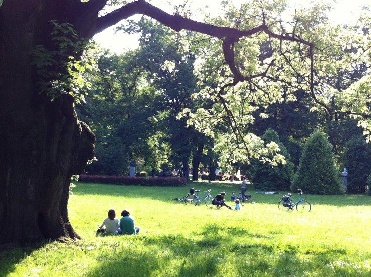 Dr. H. Jordan Park