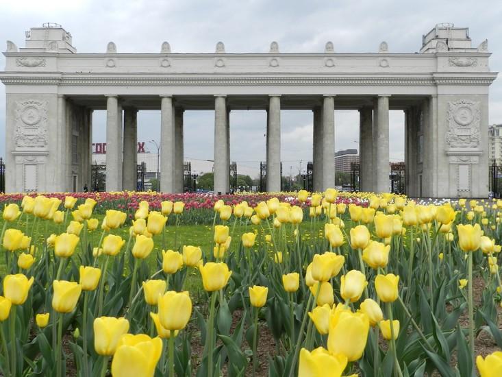 Gorky Park