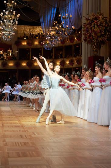 Ball season in Vienna