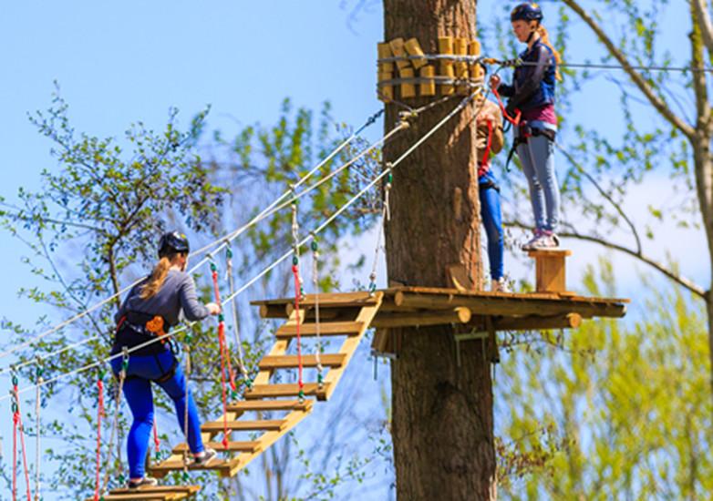 Fun Forest Climbing Park