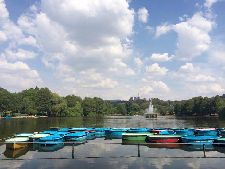 Zoo Lake