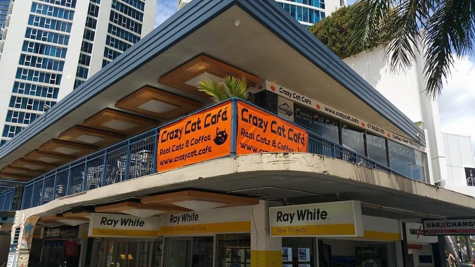 Crazy Cat Café