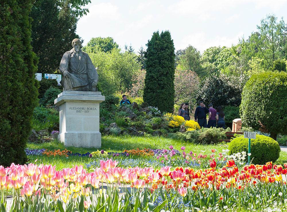 Alexandru Borza Botanic Garden