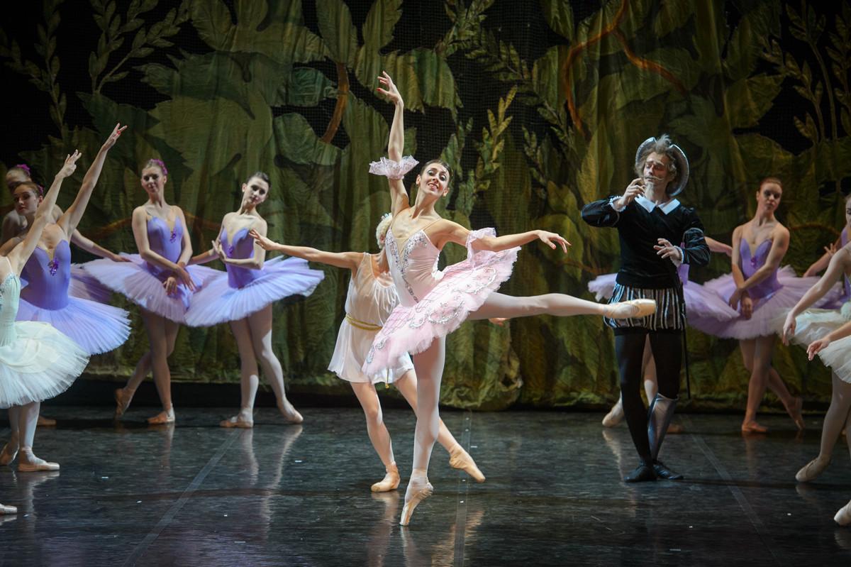 Балет-Холл «Аврора»