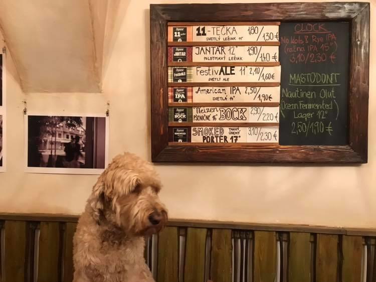 Stupavar Beer Pub