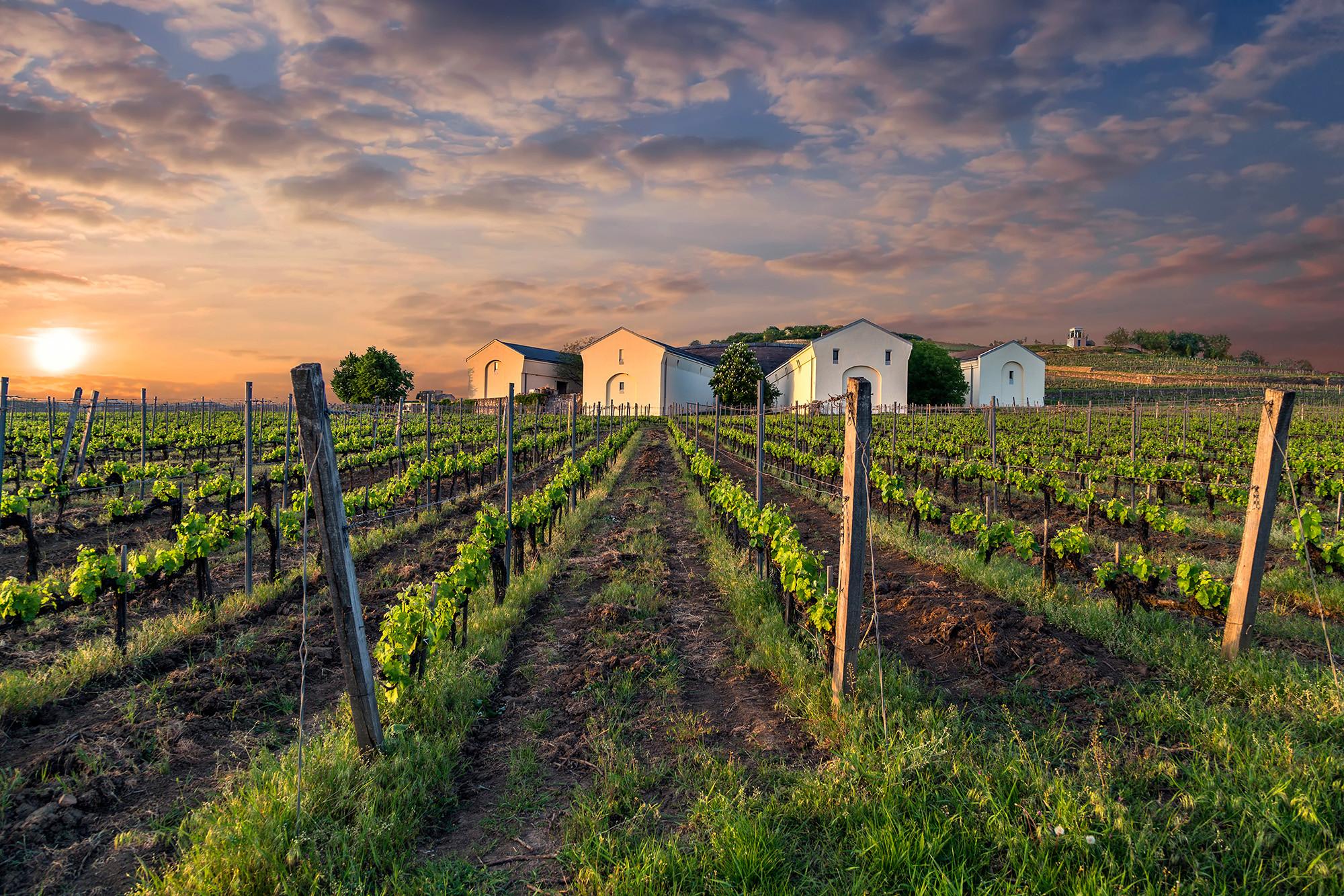 Day Trips from Debrecen