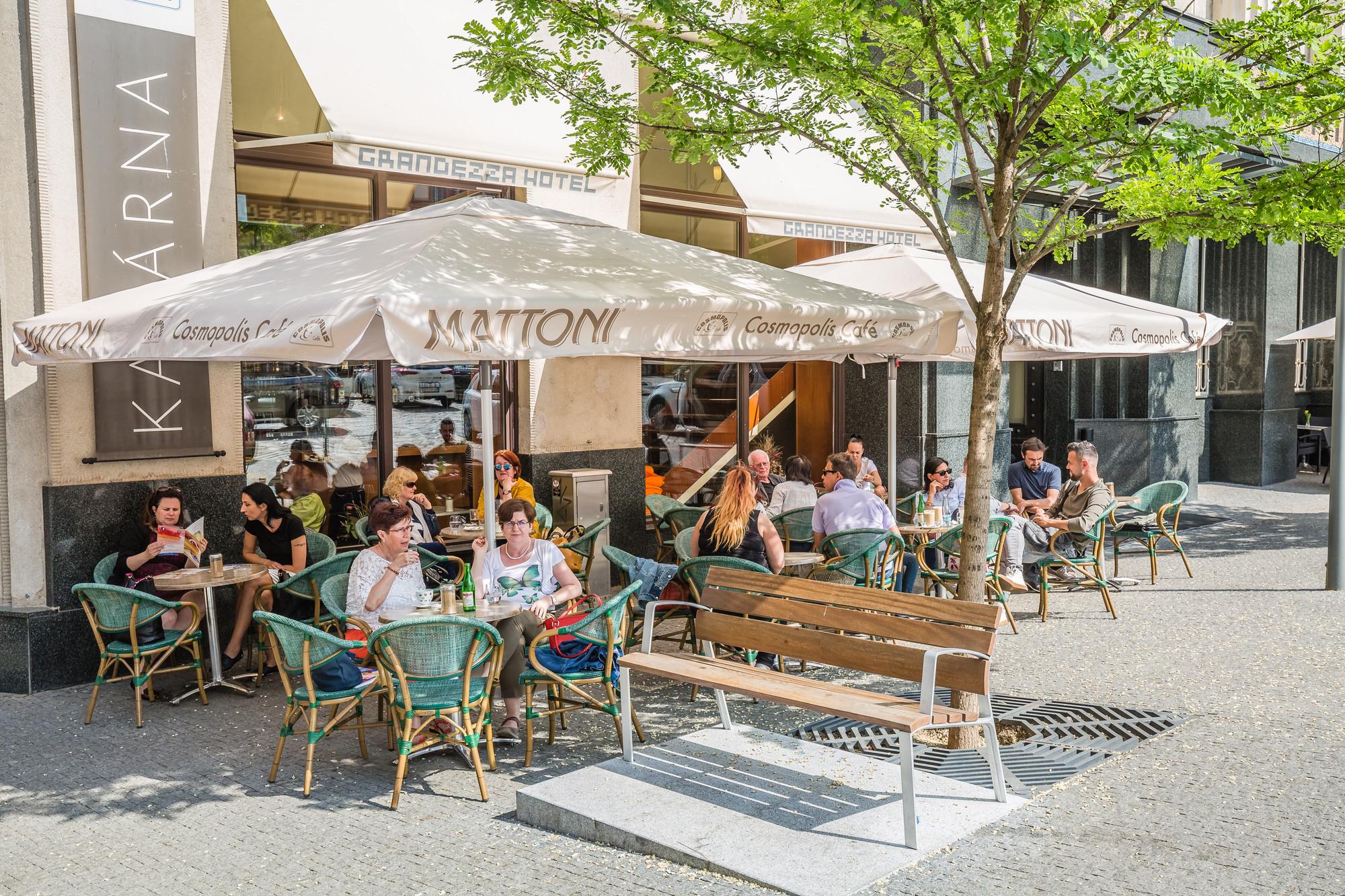 Best Traditional Restaurants in Brno