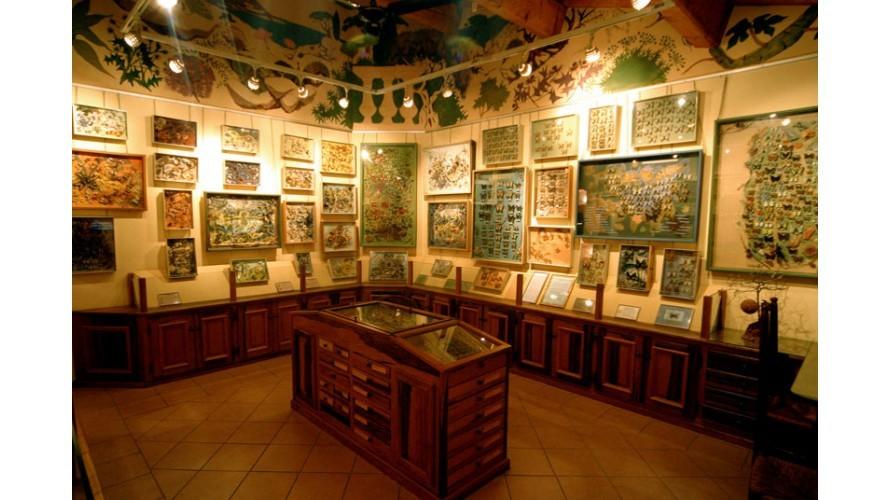 La Maison des Papillons Musée Dany Lartigue