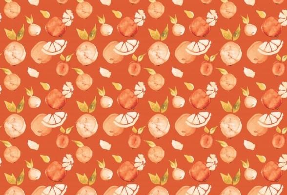 Linen & Amber Studio