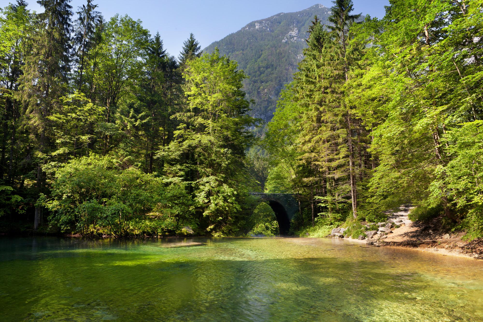 Best outdoor activities in and around Kamnik