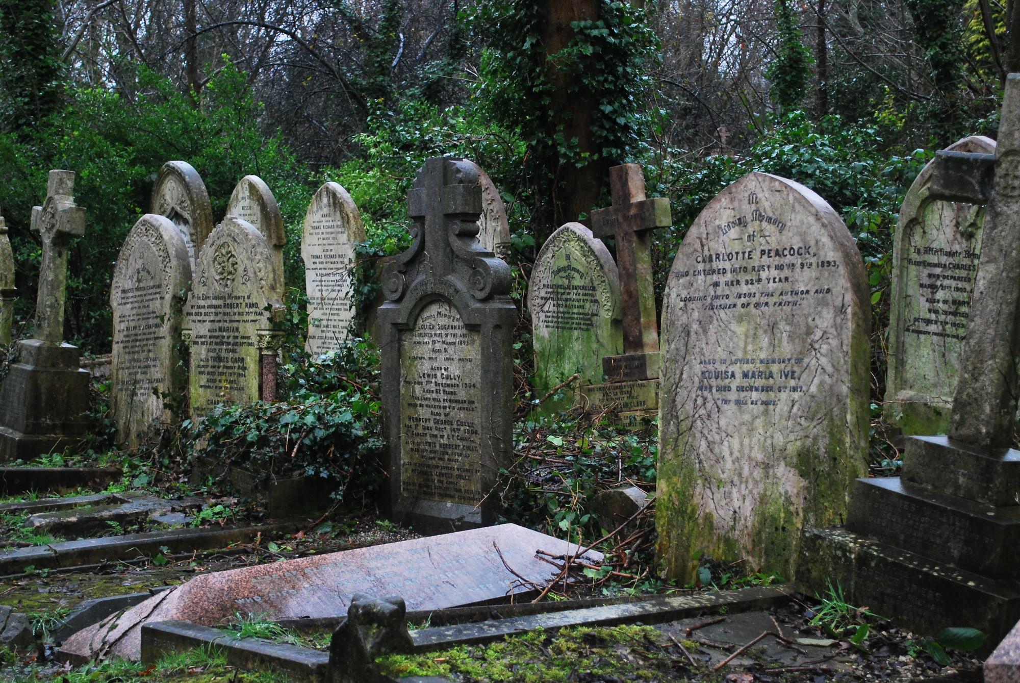 The Magnificent Seven