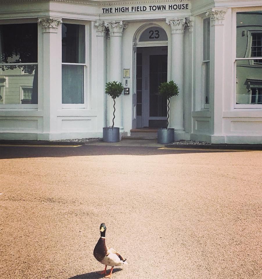 High Field Town House