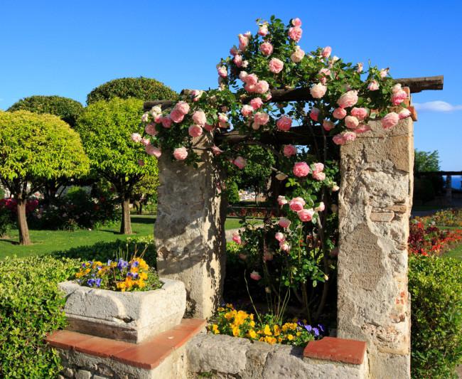 Monastère de Cimiez