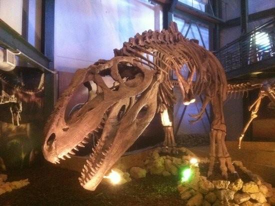 Natural History Museum of Crete