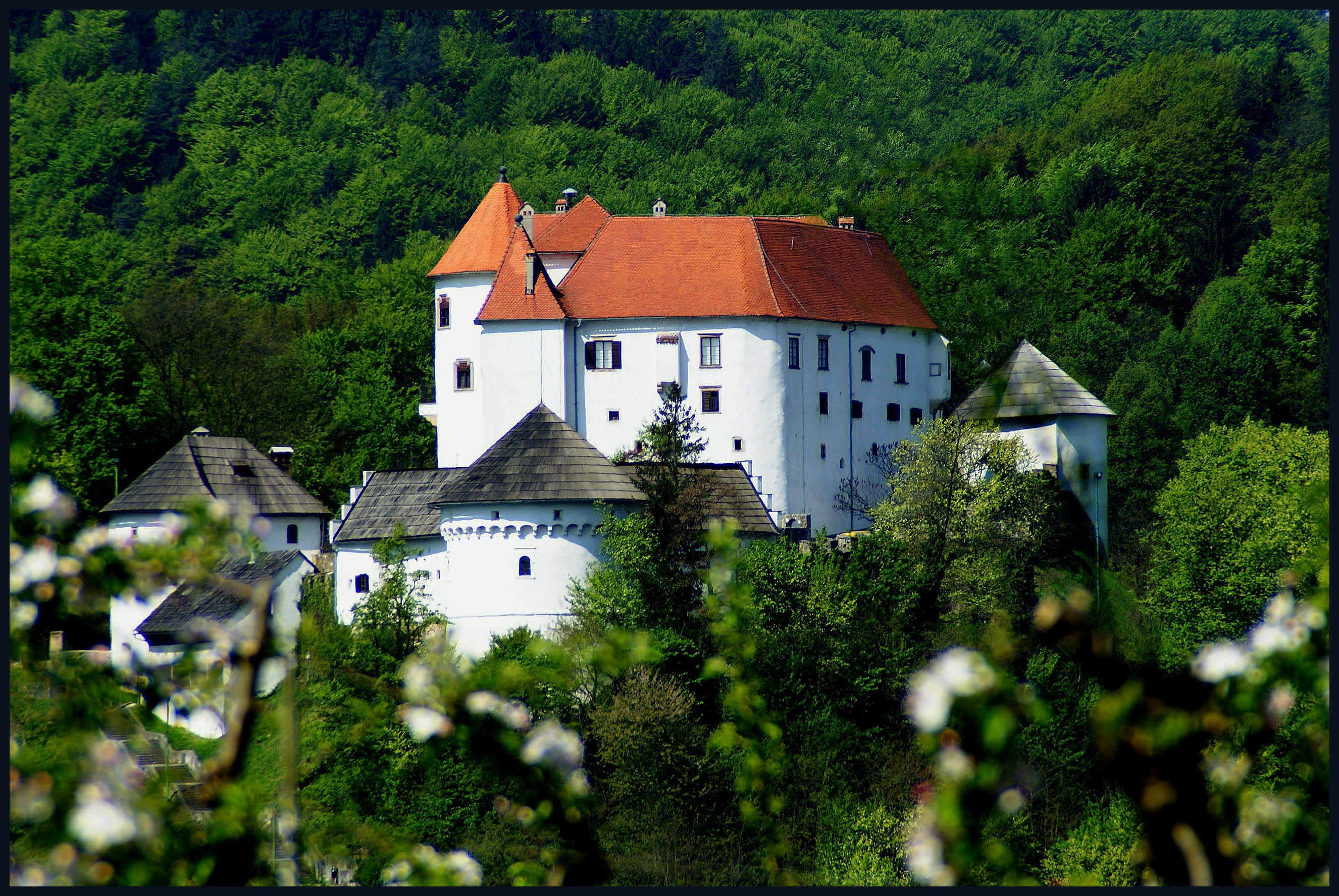 Best Museums in Velenje