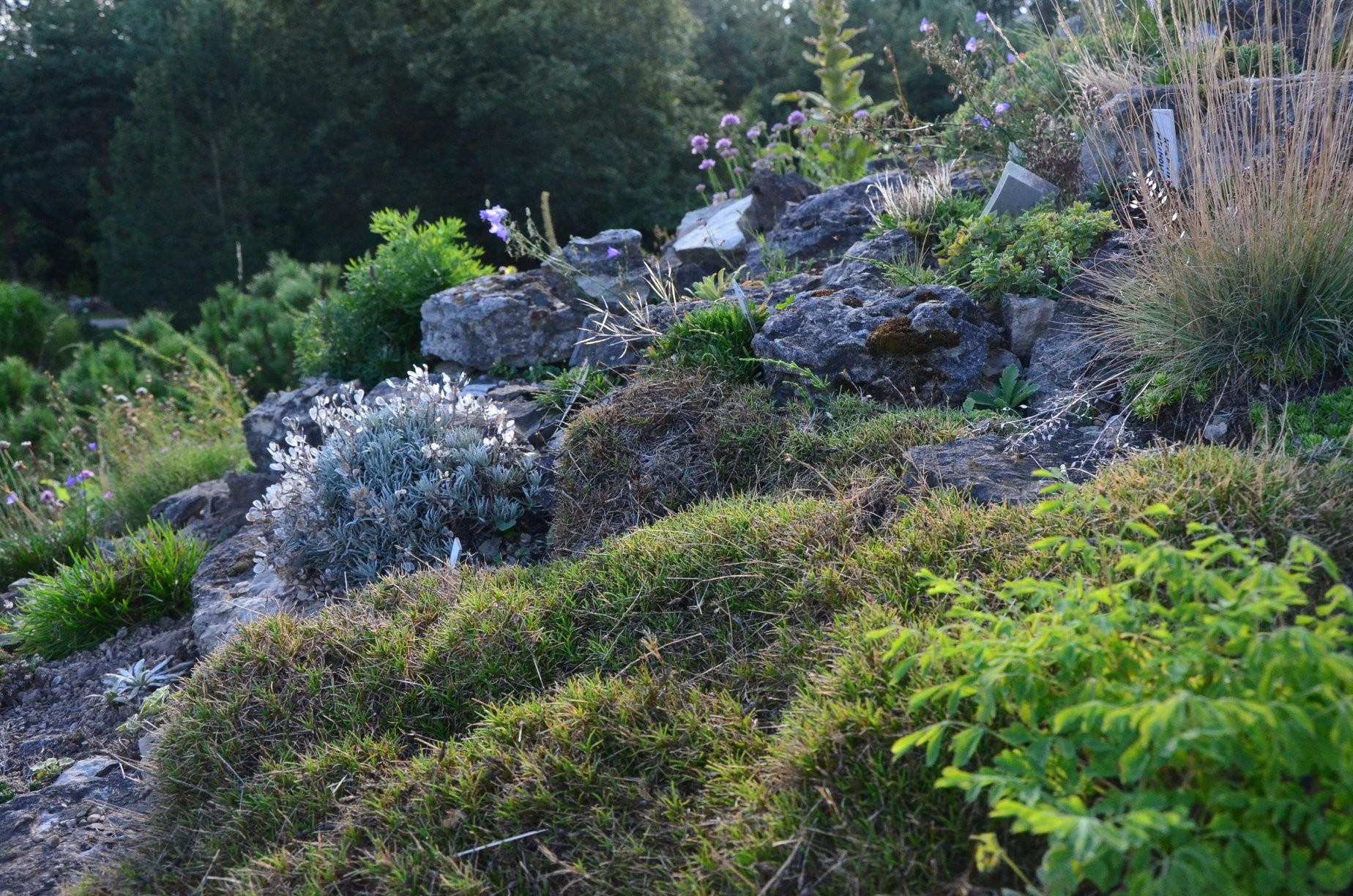 Šiauliai University Botanical Gardens