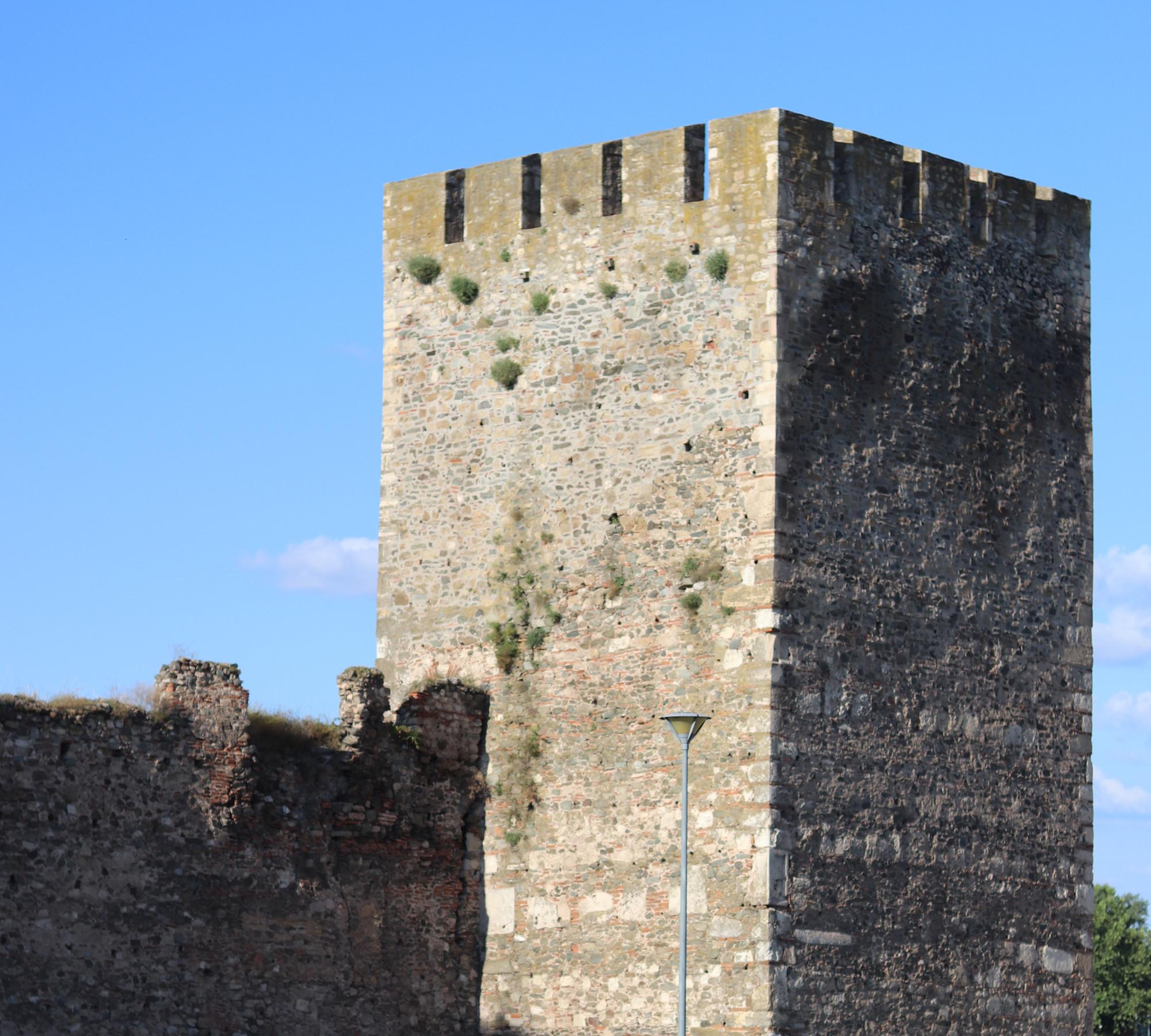 A Day Trip to Smederevo