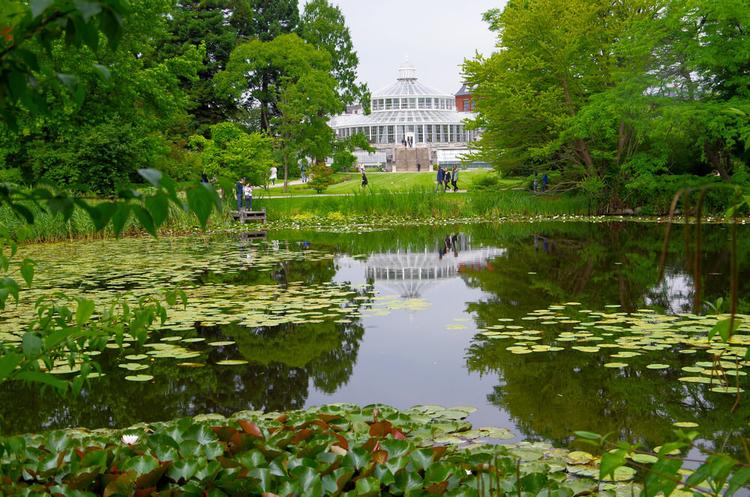 Alameda Gardens