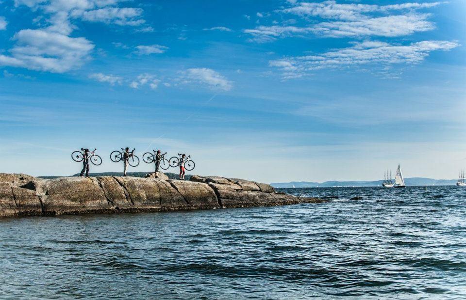 Bike Tour: Forest to the Fjord