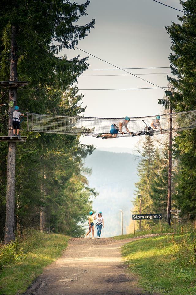Oslo Summer Park