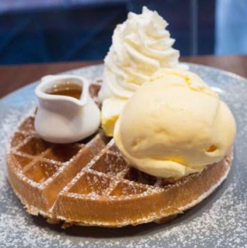 Ice Scoop