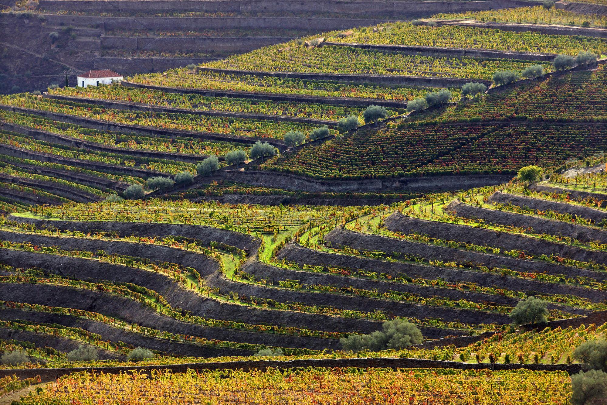 Porto Day Trips: Things to do in Guimarães