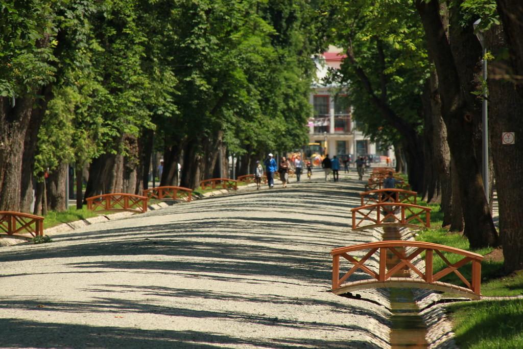 Central Park