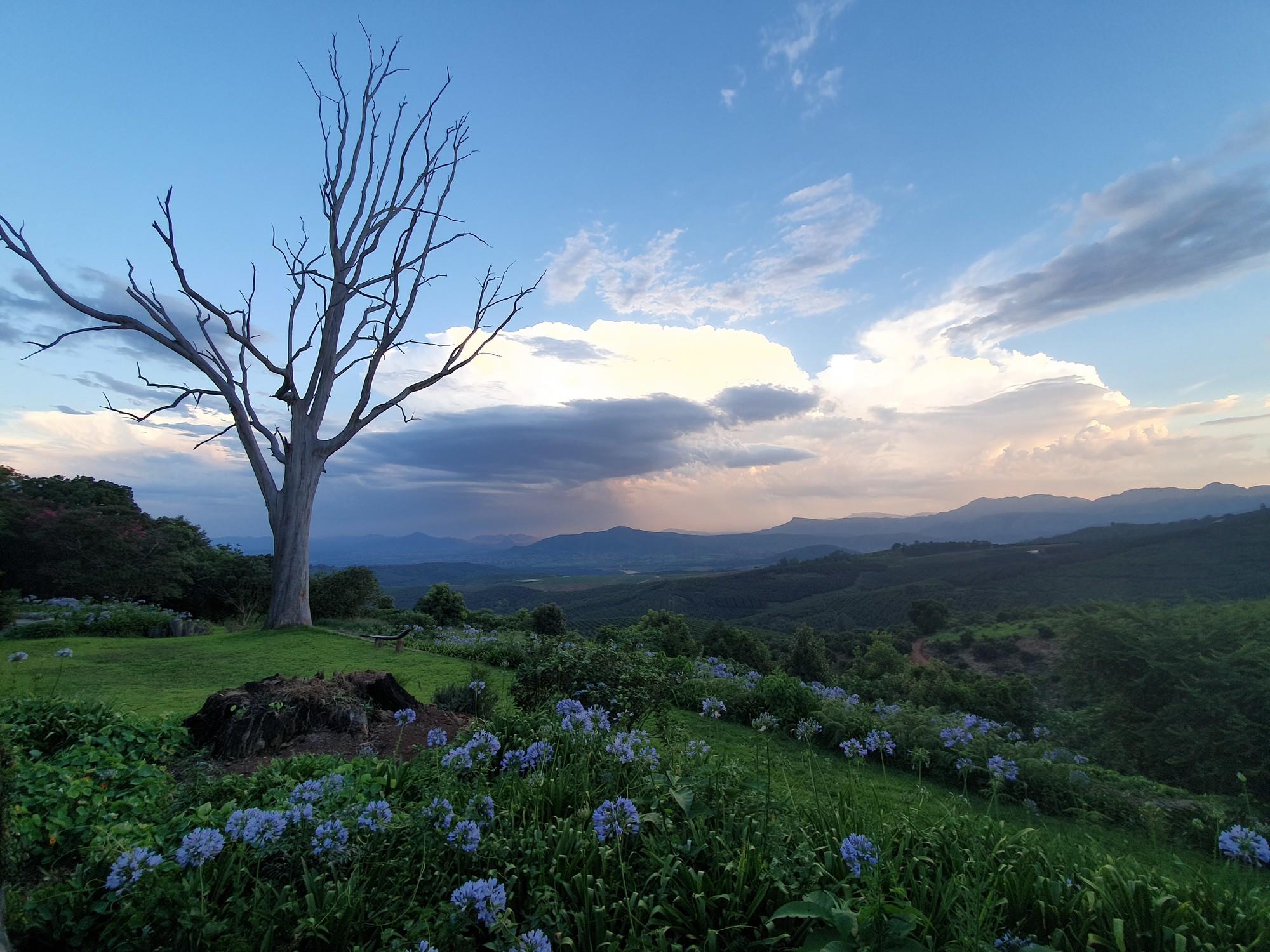 Road to Kruger – Tzaneen, Magoebaskloof and Haenertsburg