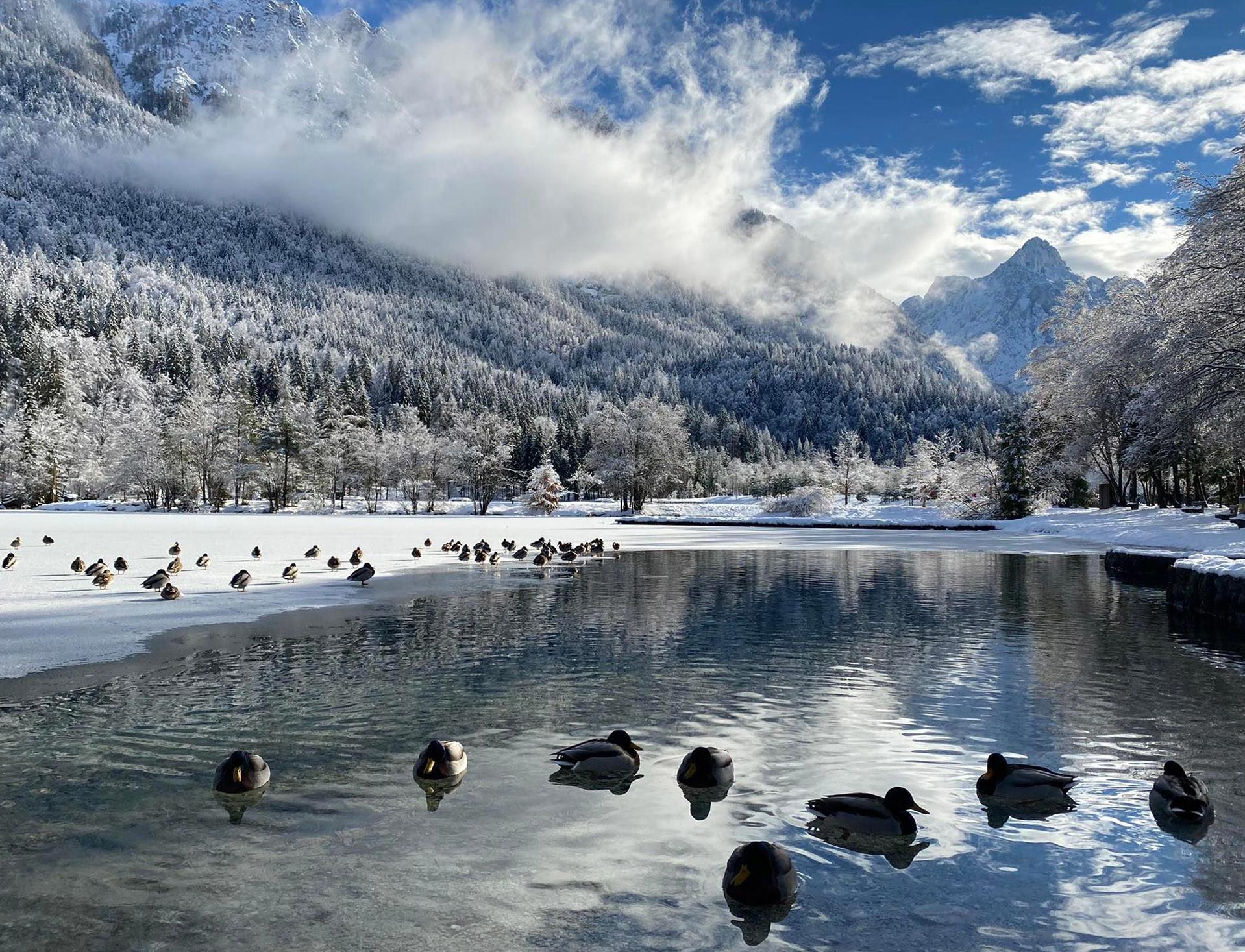 Top 12 Most Instagrammable Places in Slovenia