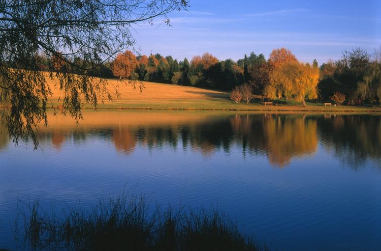 Johannesburg Botanical Gardens and Emmarentia Dam