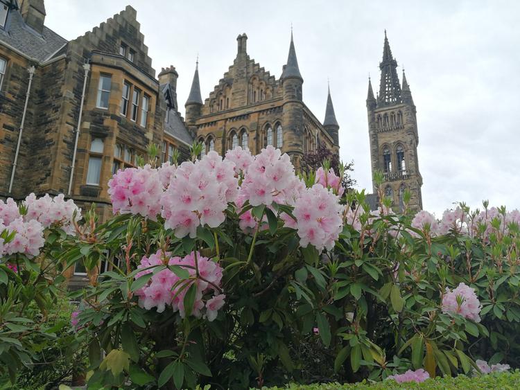 University of Glasgow