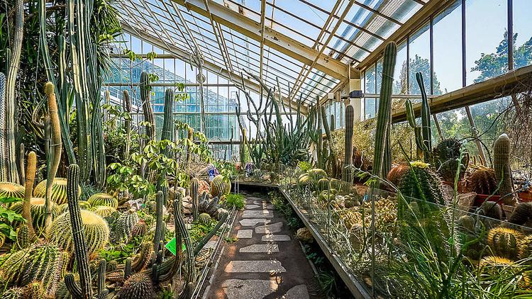 Palm House