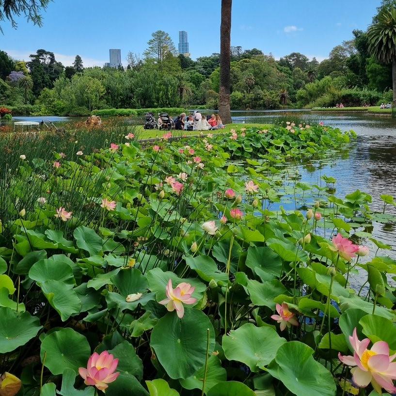 Royal Botanic Gardens