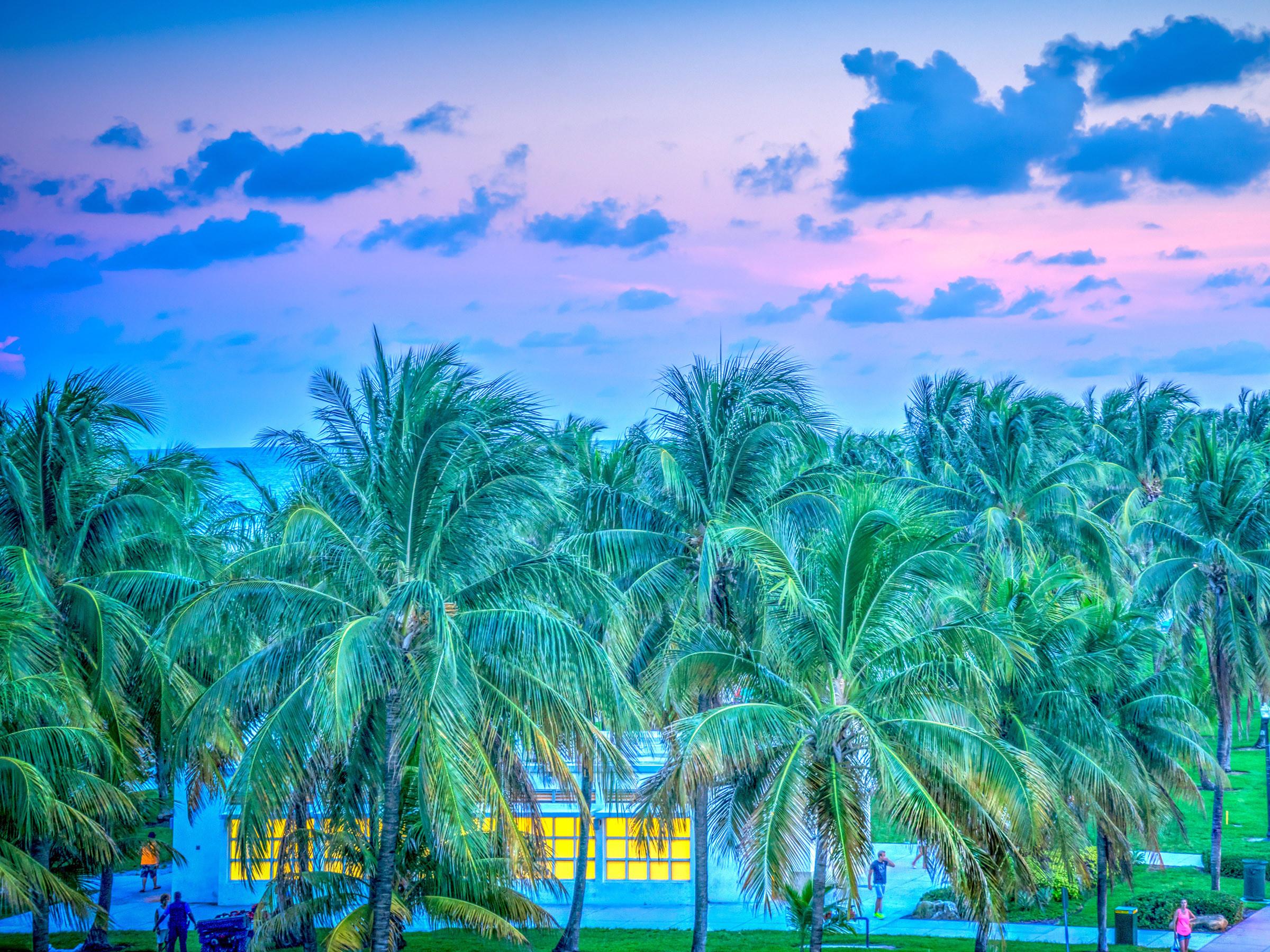 6 Fun Things to Do in Miami, Florida