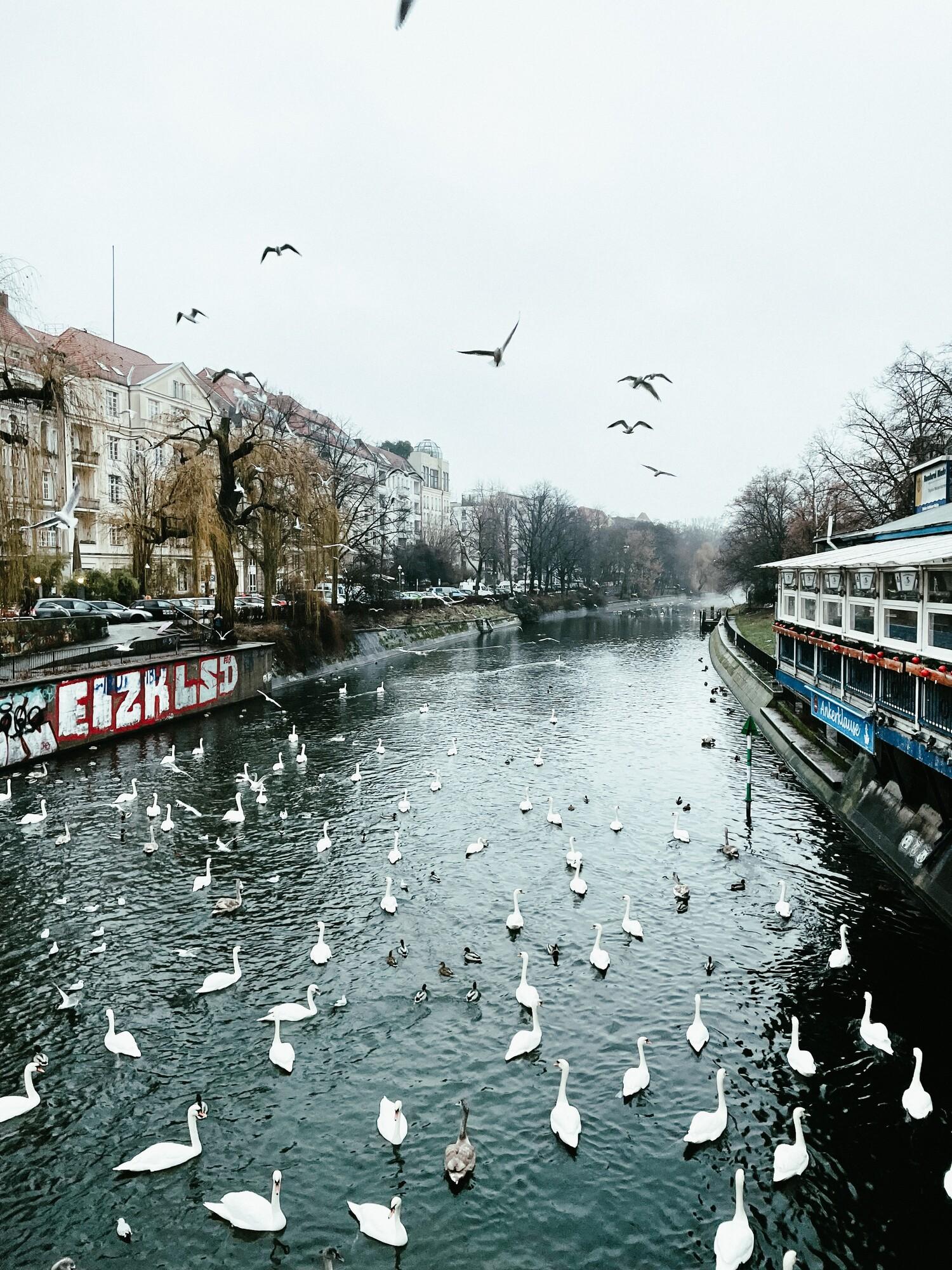 Things to Do in Berlin in the Winter