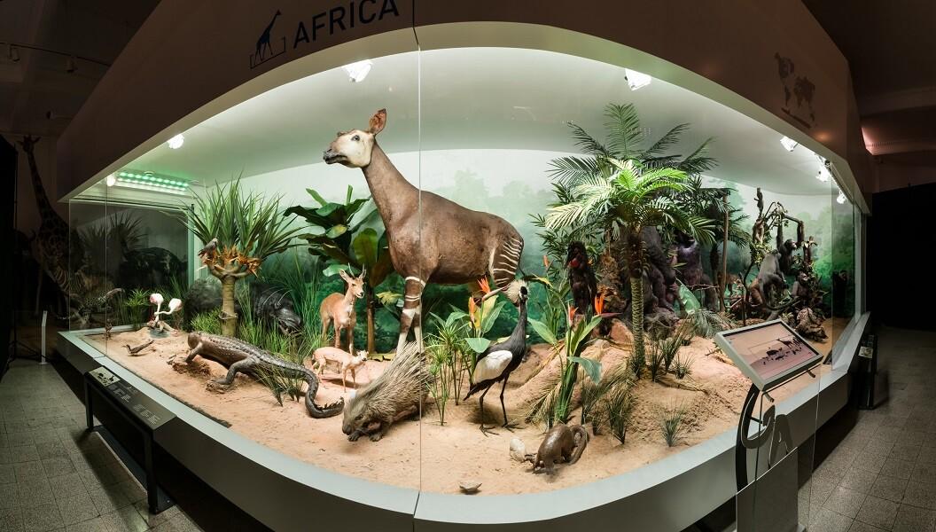 Bucharest's Finest Museums