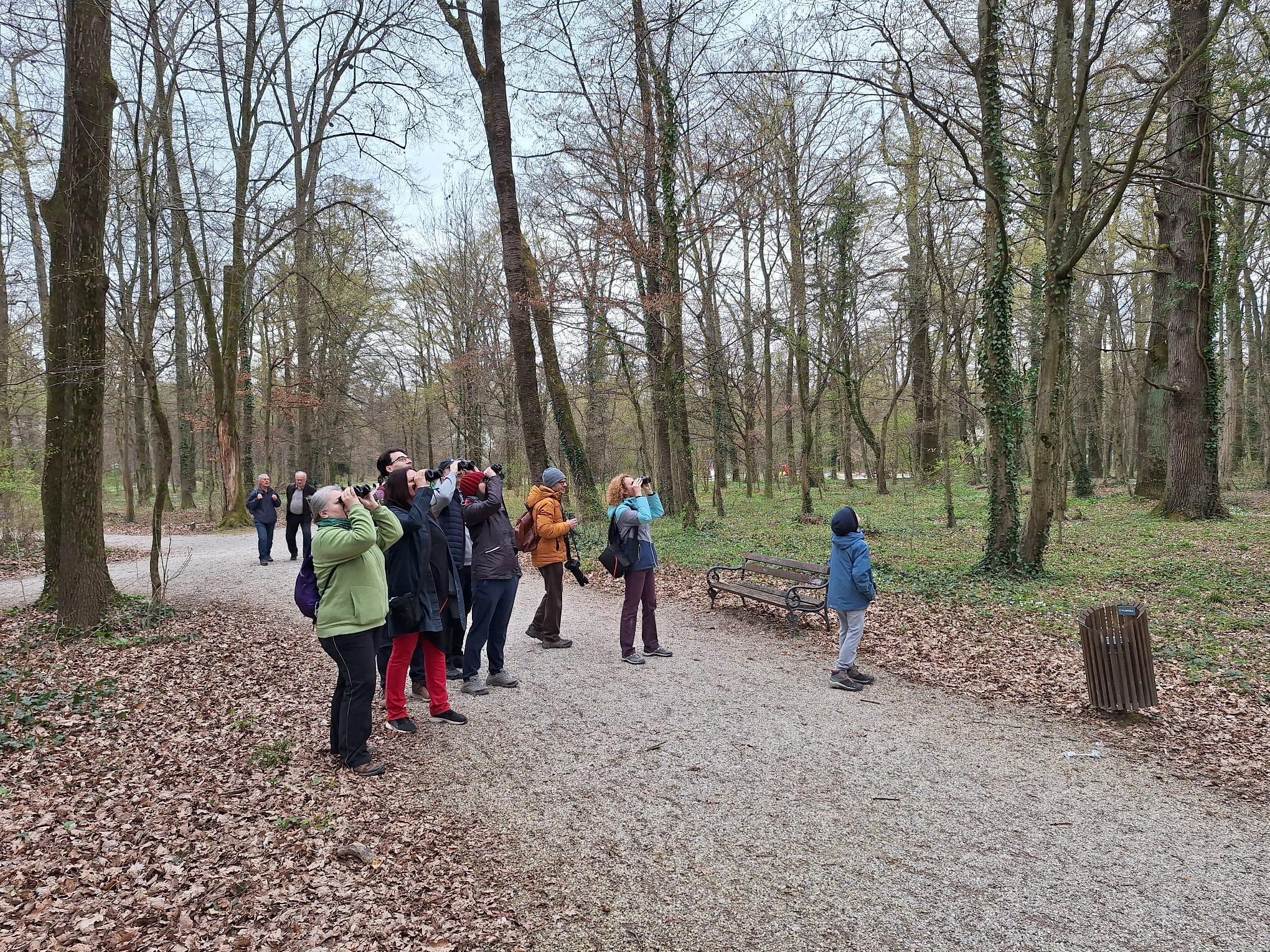 Spring Awakens: Birdwatching, Nature, and Sustainable Travel in Croatia