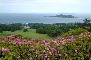 Deer Park Hotel, Golf & Spa